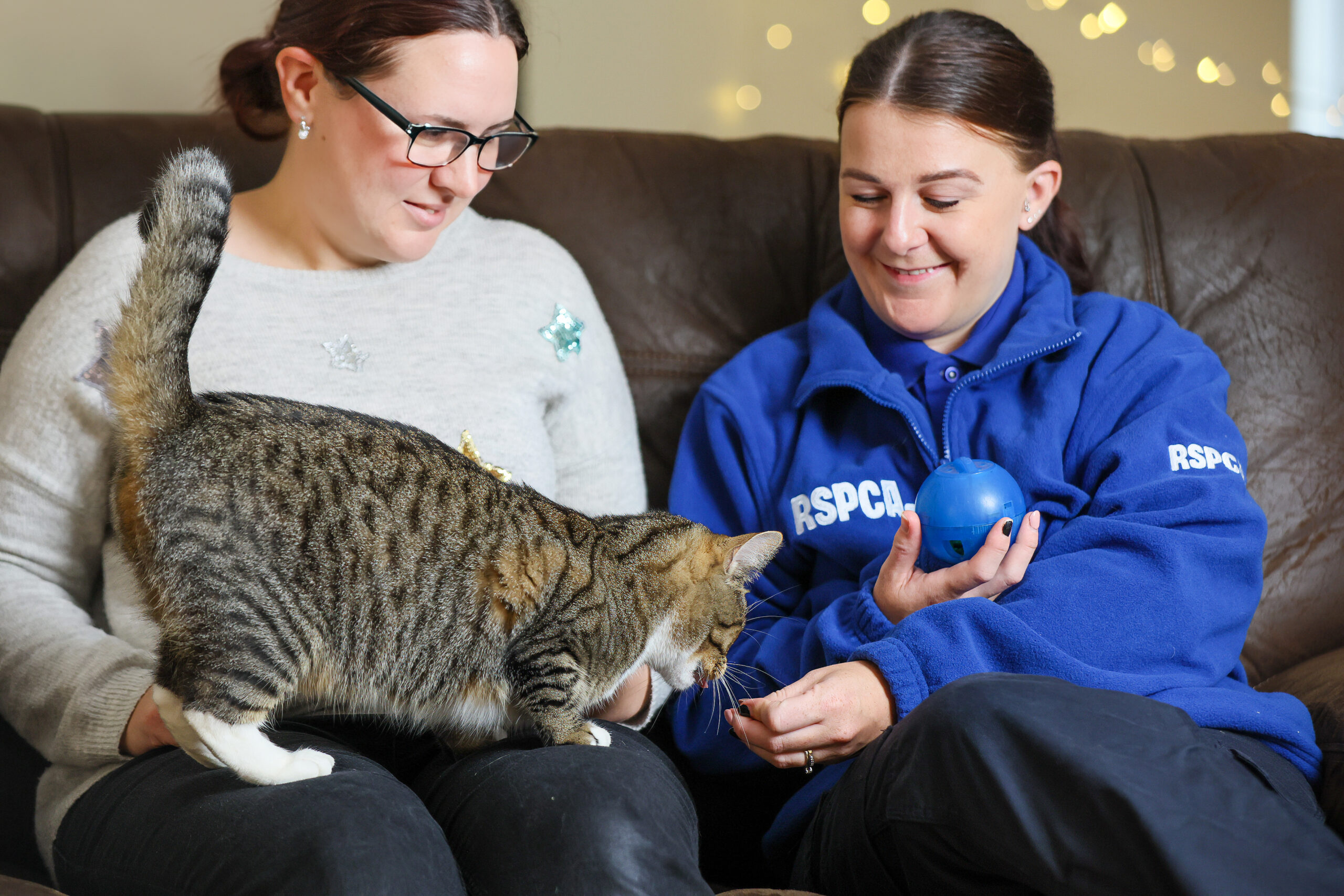 Home Alone: RSPCA Reveals Shocking 23% Increase In Terrified Pets Left To Fend For Themselves At Christmas