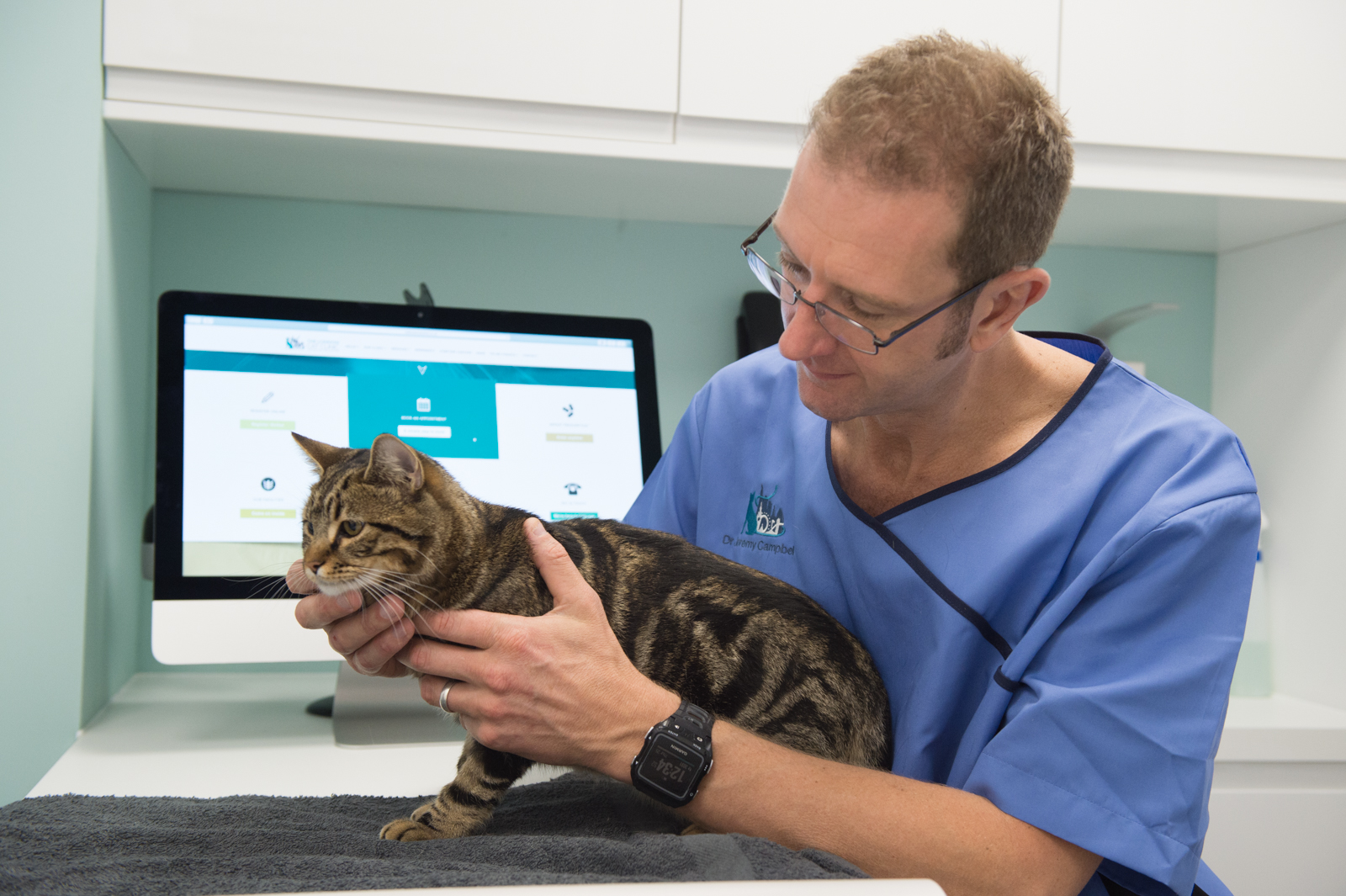 Saving Feline Lives with the UK’s First Cat Blood Bank