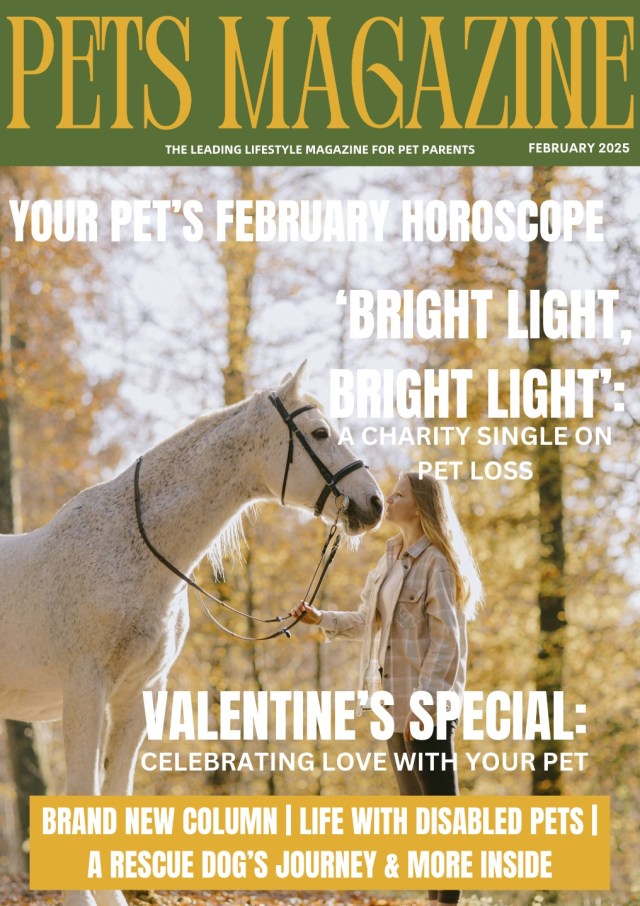 Feb cover
