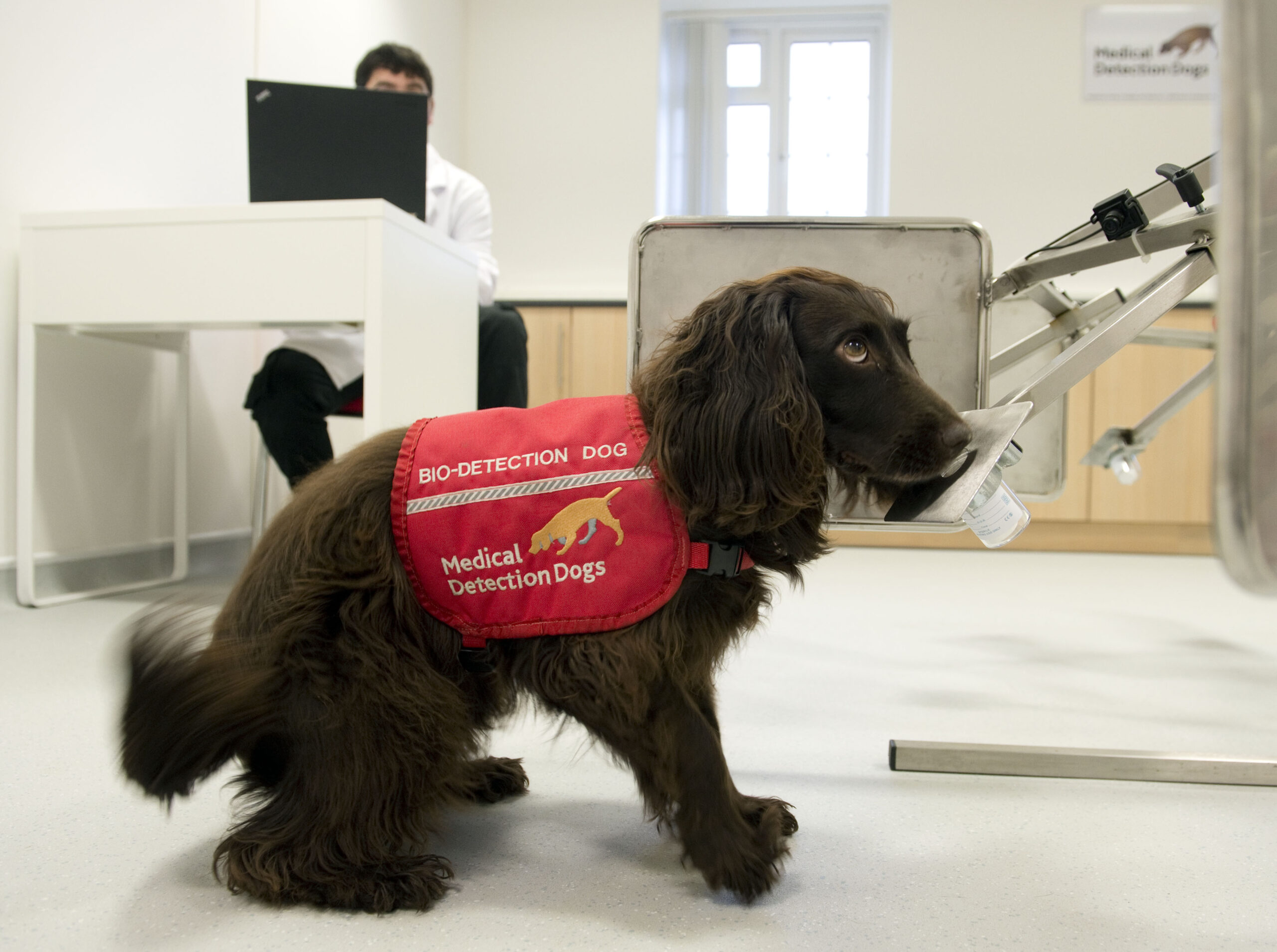 Canine Cancer Detectives: Dogs Sniff Out Bladder Cancer in Ground-Breaking Study