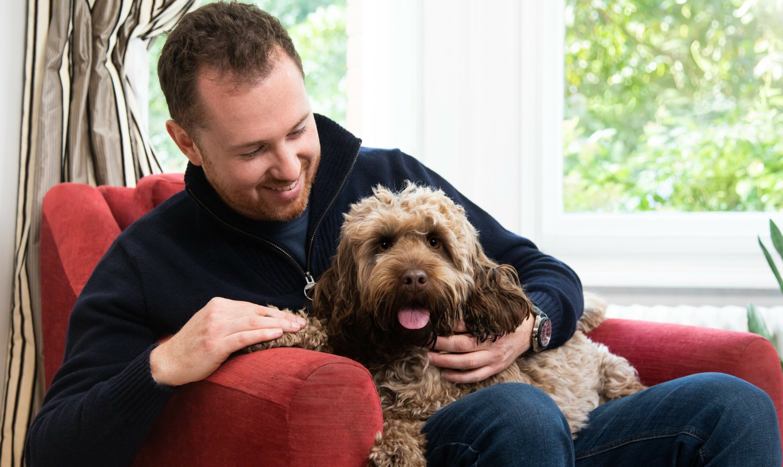 dog with person on sofa