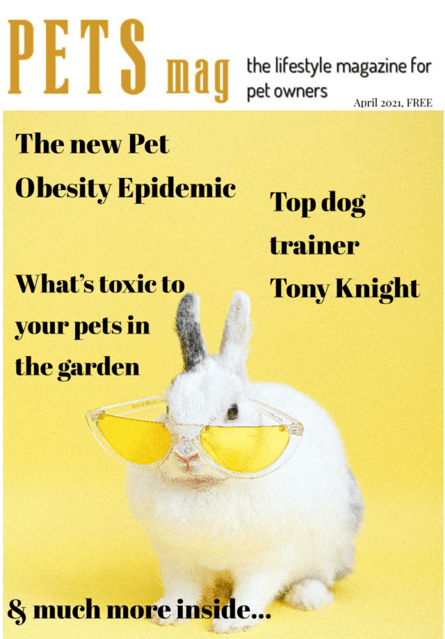 magazine cover
